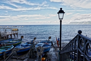 Scilla